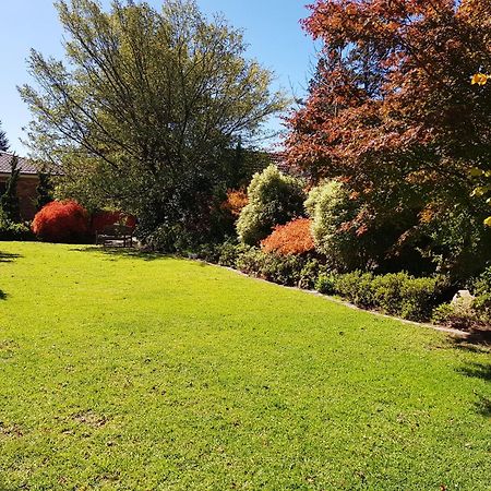 Winston Cottage At Three Sisters Katoomba Extérieur photo